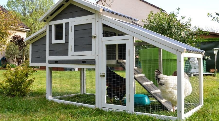 Image of a chicken coop on grass
