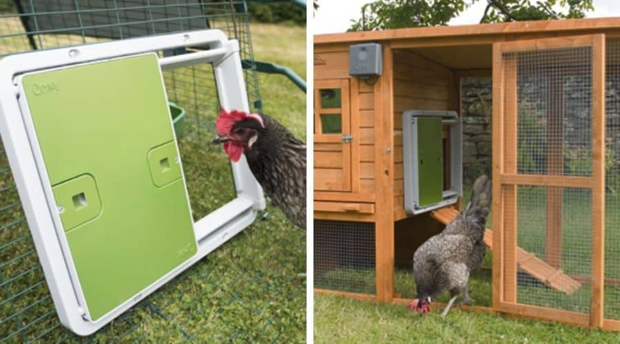 Image of the Omlet Automatic coop door on a run and coop