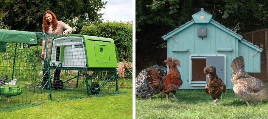 plastic vs wooden chicken coop showing plastic coop on the left and wooden coop on the right
