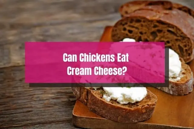 Cream cheese spread on bread
