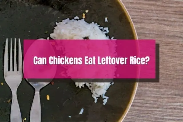 Plate of leftover white rice