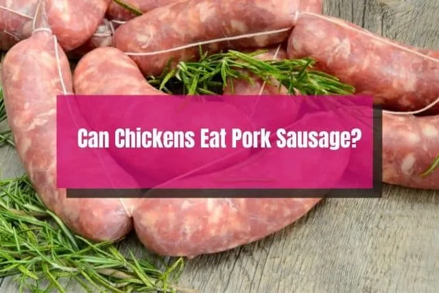 Uncooked pork sausage