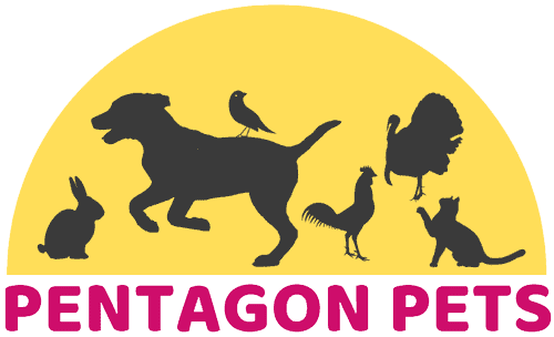Pentagon Pets