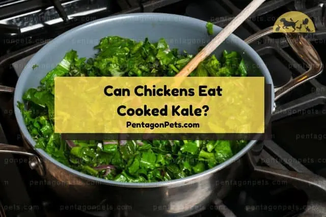 Cooking kale on skillet