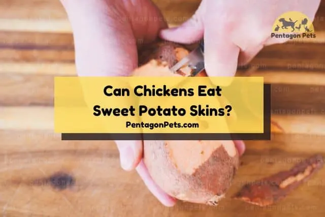 Peeling skin off sweet potatoes