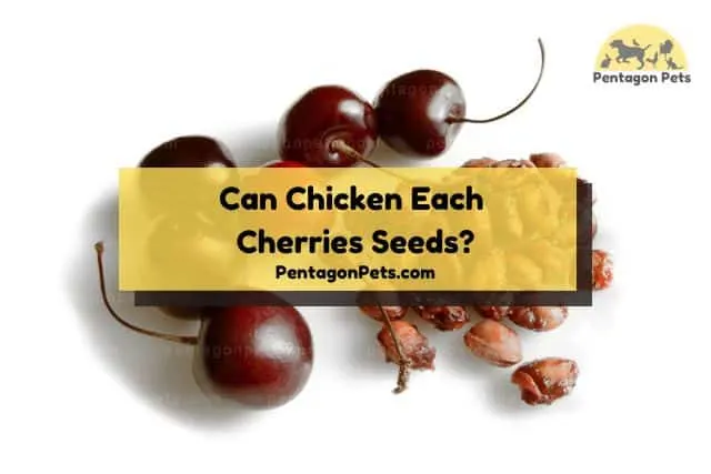 scattered cherries and cherry seeds