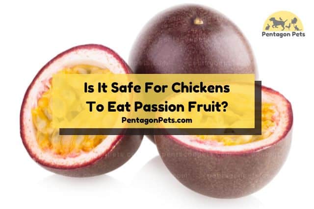 Cut passion fruit