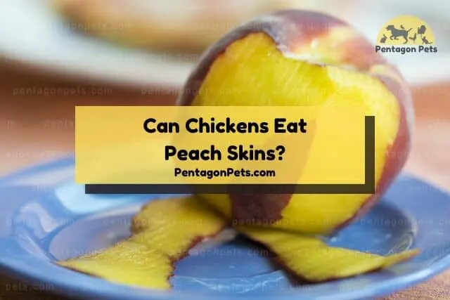 Peach with some skin peeled off