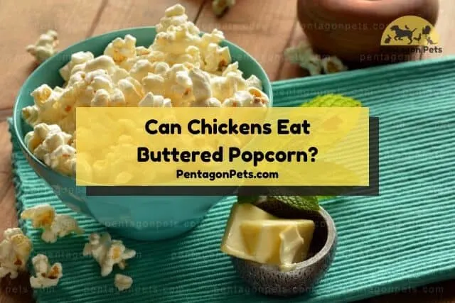 Bowl of popcorn with a side bowl of butter