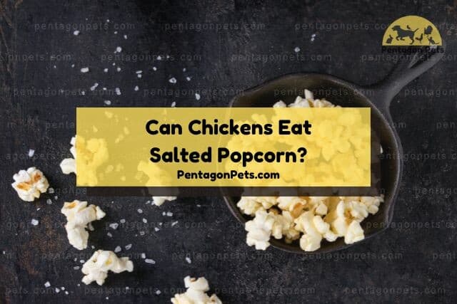 Bowl of popcorn with salt on the table